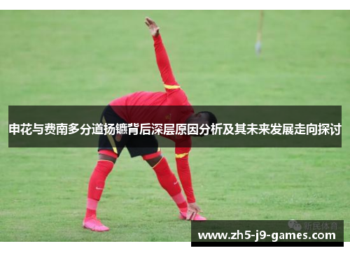 申花与费南多分道扬镳背后深层原因分析及其未来发展走向探讨